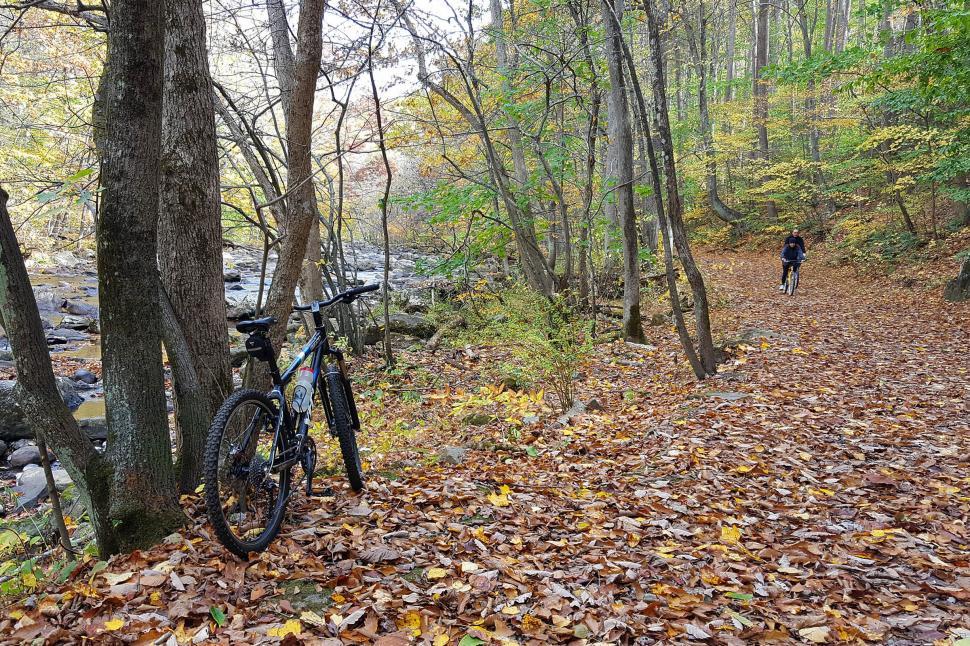 Free Image of Mountain Biking By A Stream 