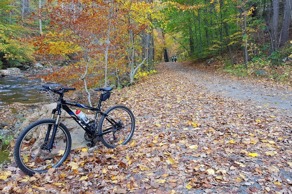 Free Image of Mountain Bike By A Stream 