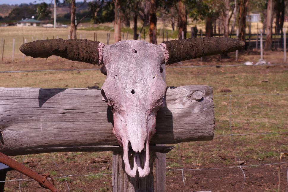 Free Image of Empty Head  