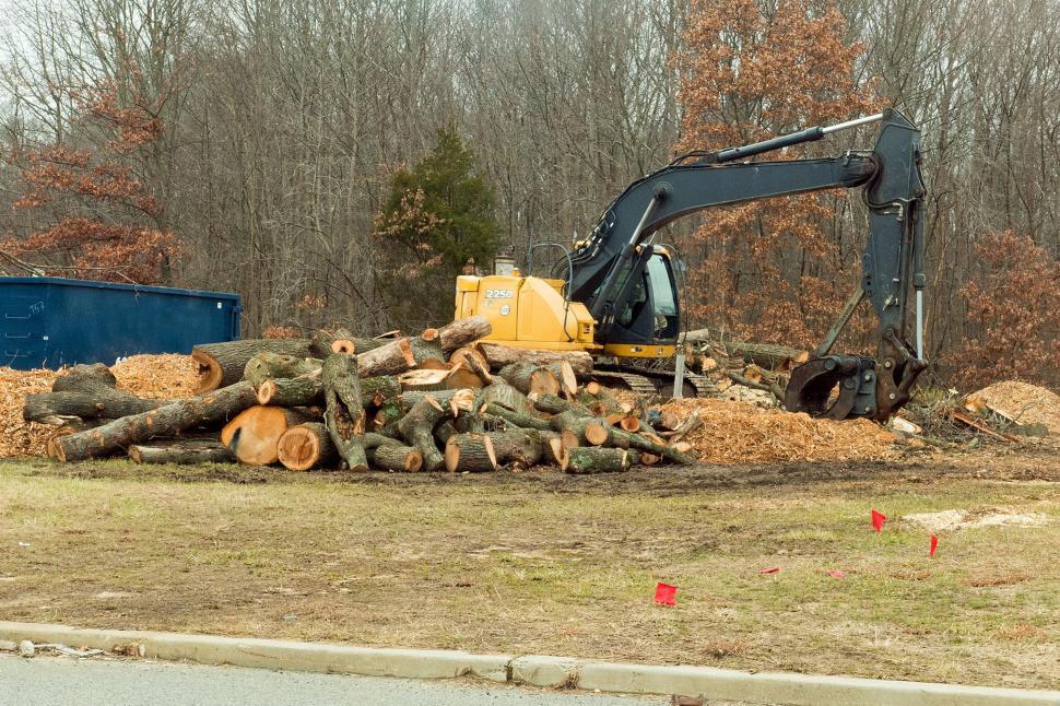 Free Image of Tree Harvester 