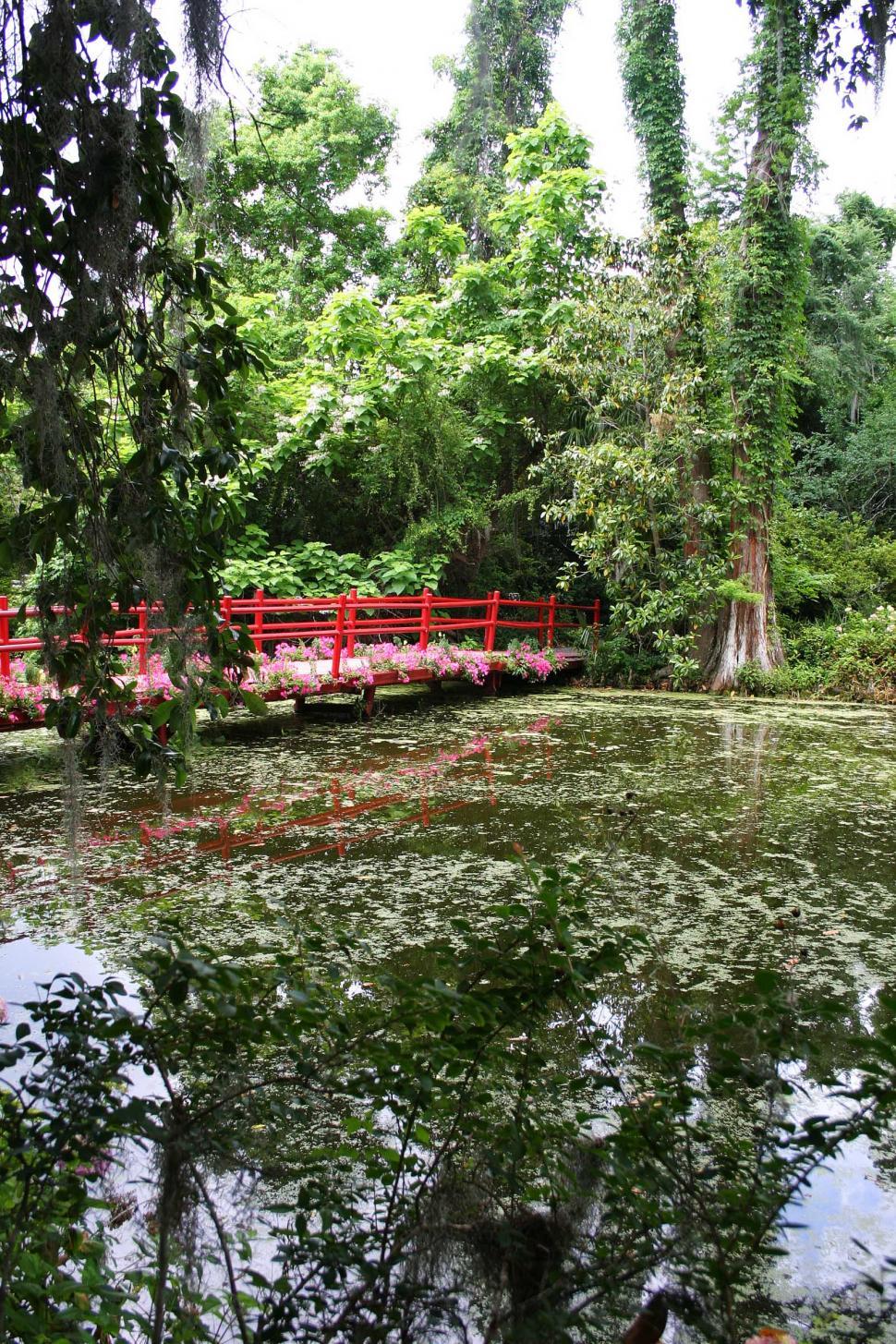 Free Image of Red Bridge Crossing Body of Water Amid Trees 
