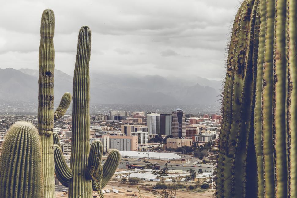 Free Image of Toned View of Downtown Tucson 