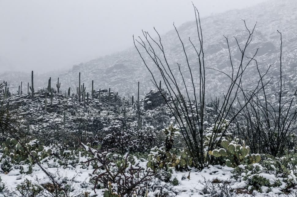 Free Image of Snowy Desert Scene 