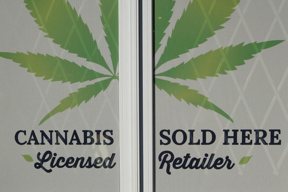 Free Image of cannabis retail store 
