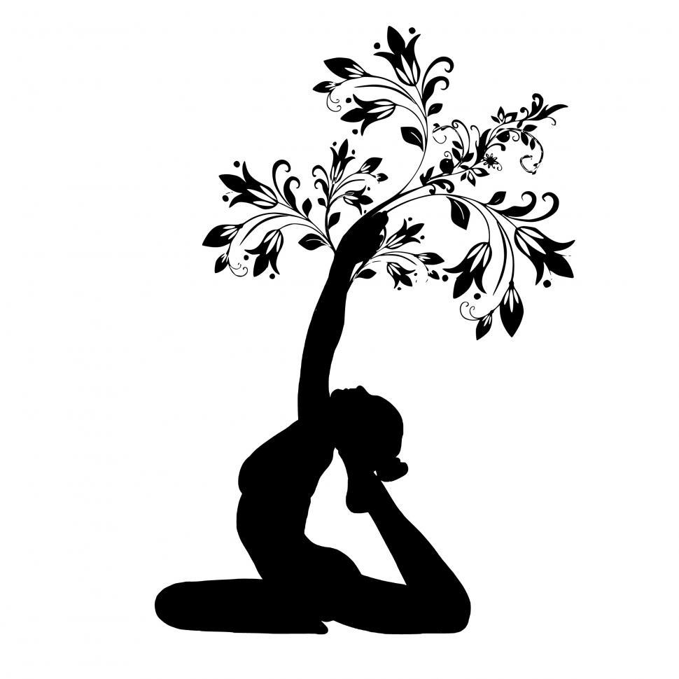 Free Image of yoga tree pose   