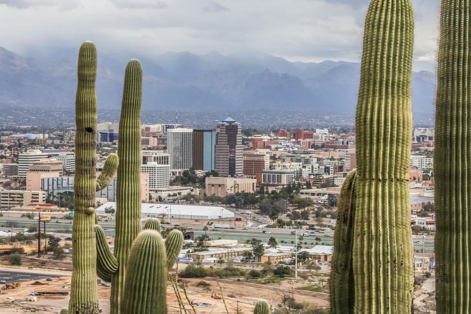 Free Image of Saguaro Cactus and Downtown Tucson 