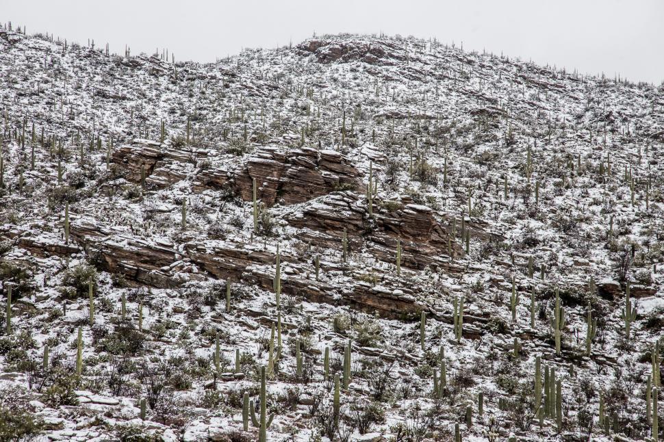 Free Image of Hillside of Layered Rocks and Cactus After Snow 