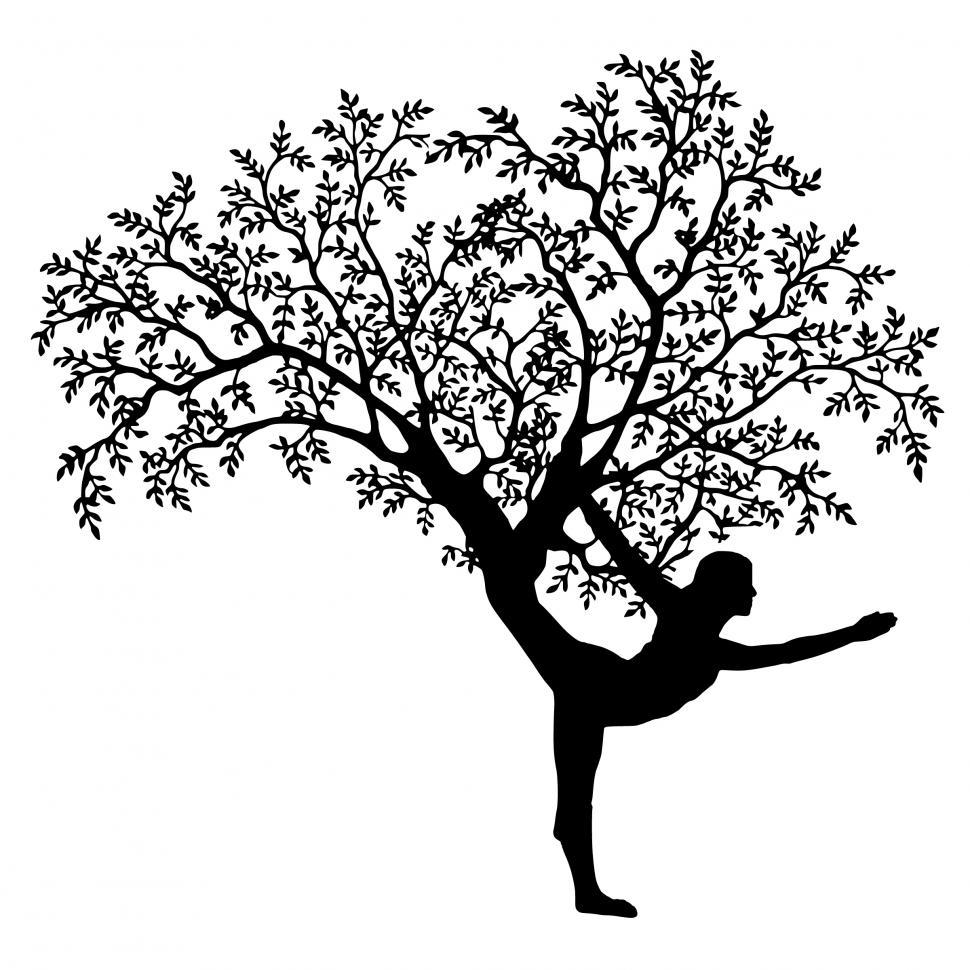 Free Image of yoga tree  