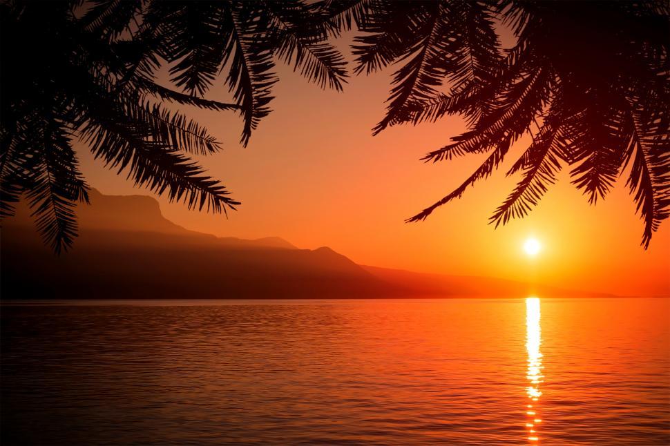 Free Image of Summer Sunset with Palm Trees 