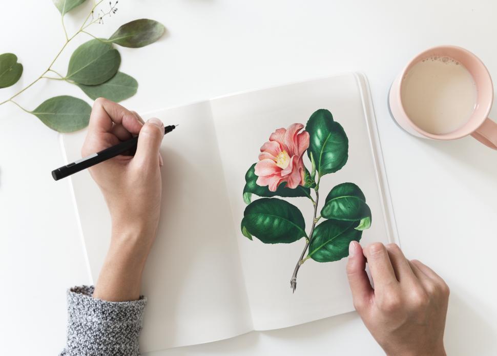 Free Image of Over the head view of a hand writing on a picture book 