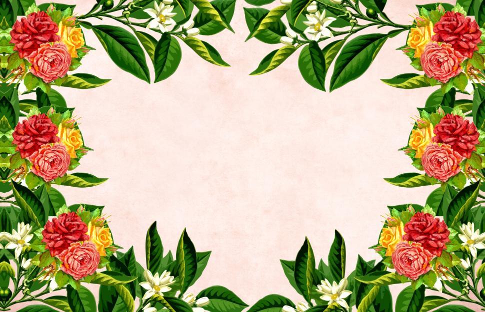 Free Image of Flower background - Large Blooms 