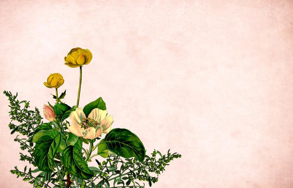 Free Image of Flower background - Mixed Cluster 