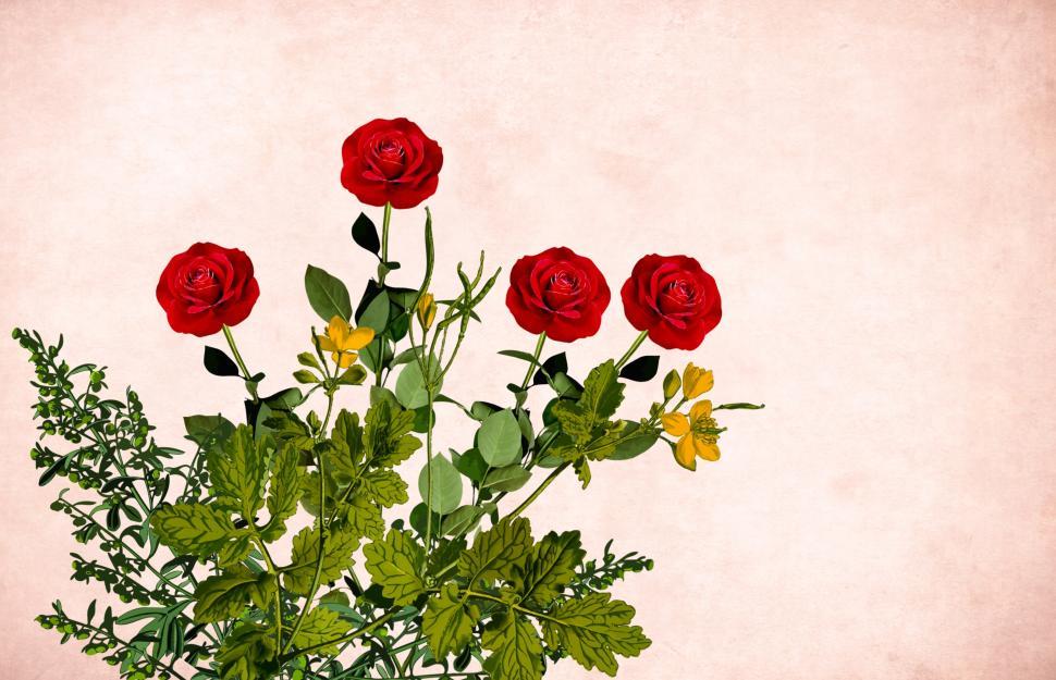 Free Image of Flower background - Four Red Flowers 