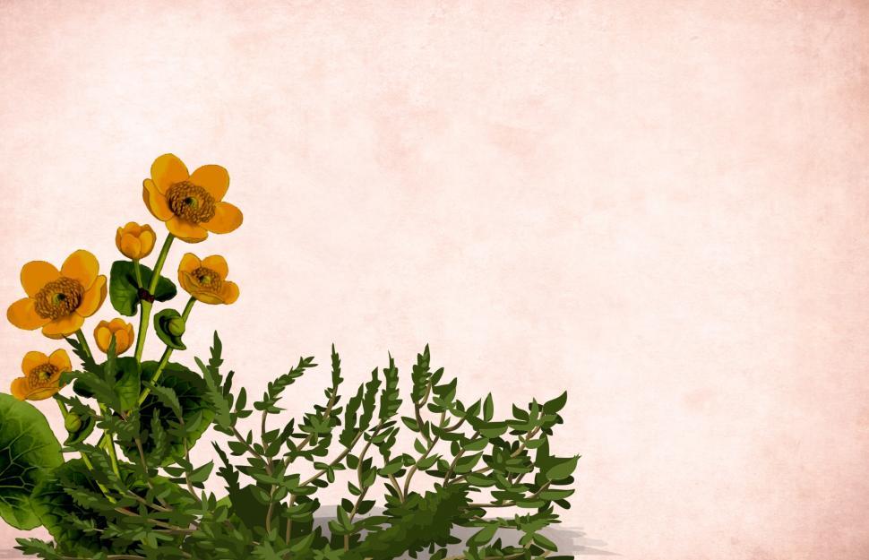 Free Image of Flower background - Cluster of Yellow 