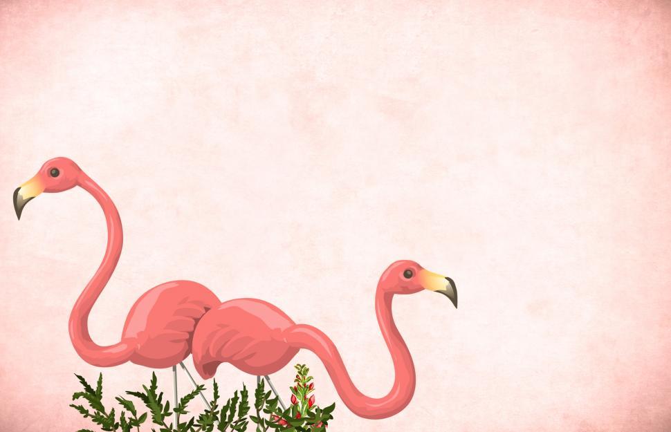 Free Image of Flamingos 