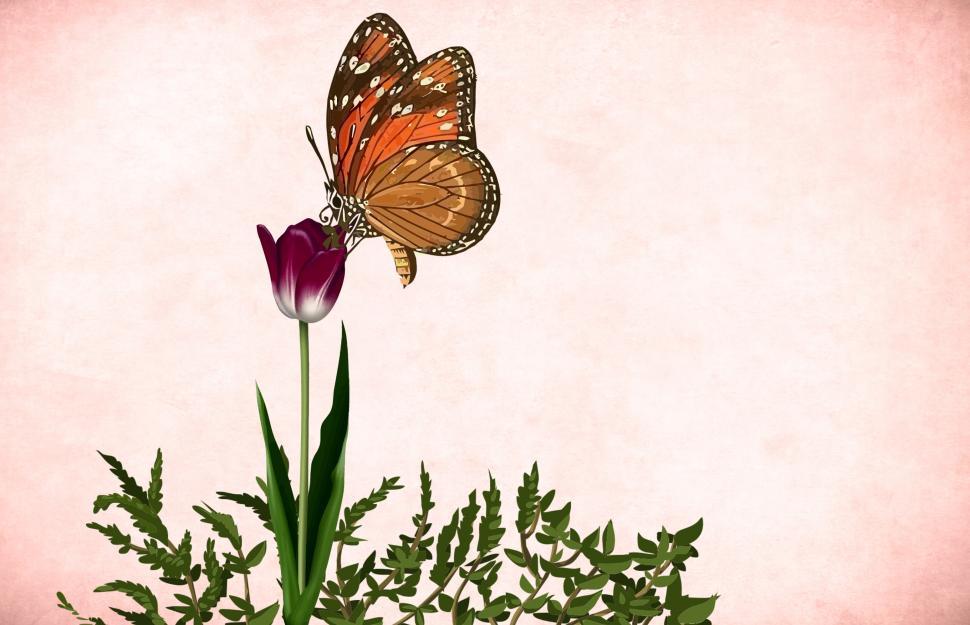 Free Image of Flower butterfly  
