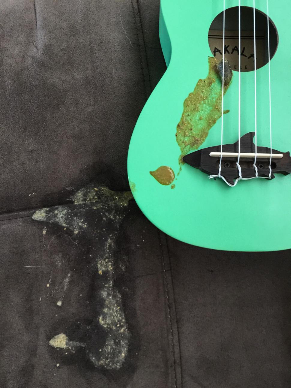 Free Image of Cat Puke on a Ukelele 