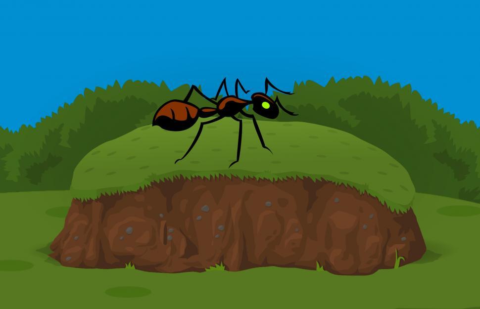 Free Image of Ant in garden  