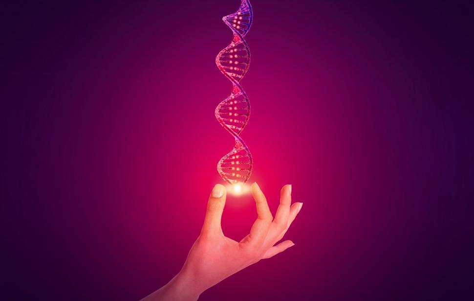 Free Image of DNA - Genetic Sequencing Concept - Red Queen 