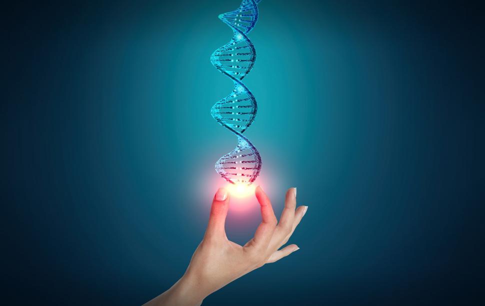 Free Image of DNA - Genetic Sequencing Concept - Genome 