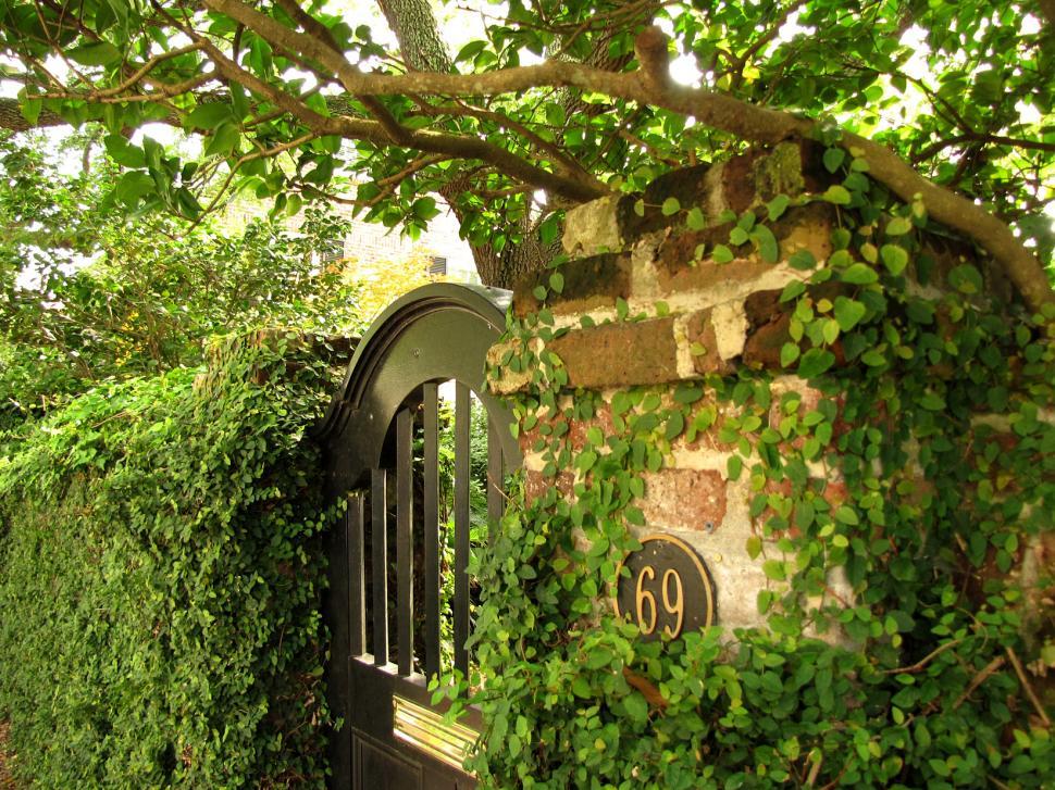 Free Image of Charleston Garden Gate 