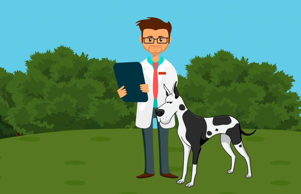 Free Image of Dog doctor  