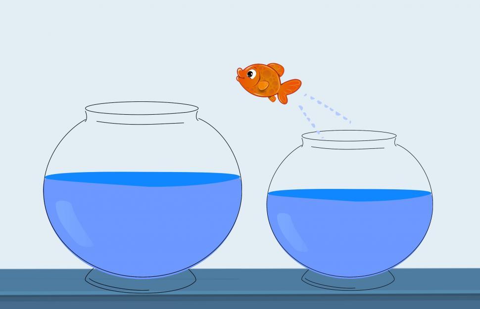 Free Image of Fish jump  