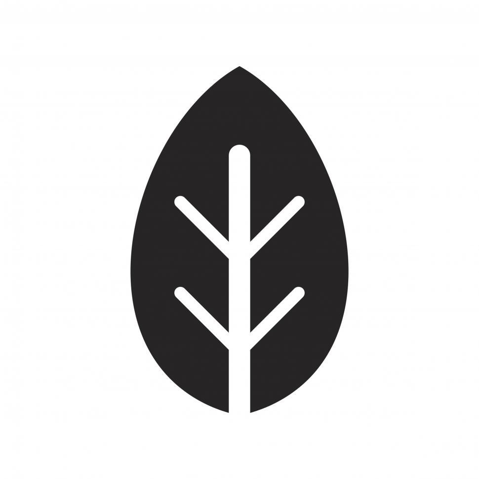 Free Image of Leaf vector icon 