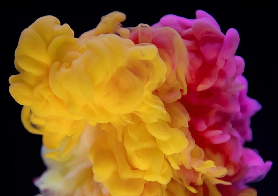 Free Image of An abstract pattern of magenta and yellow ink swirling in water 