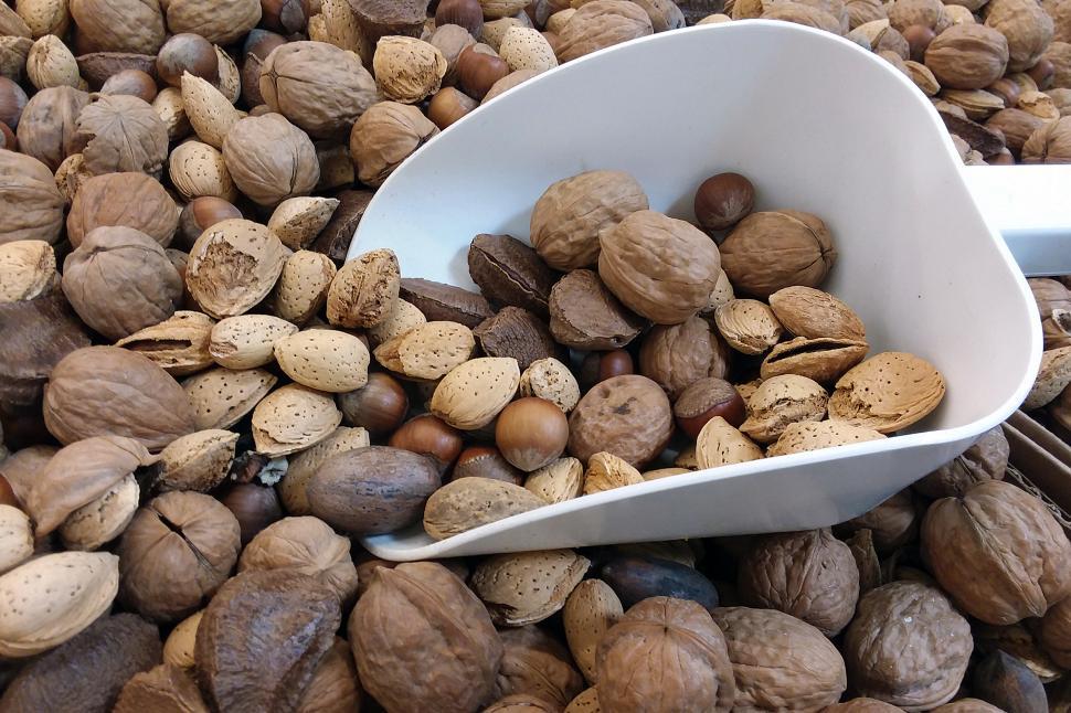 Free Image of Mixed Raw Nuts 