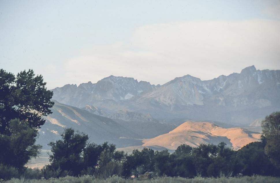 Free Image of Trees and Mountain Range 