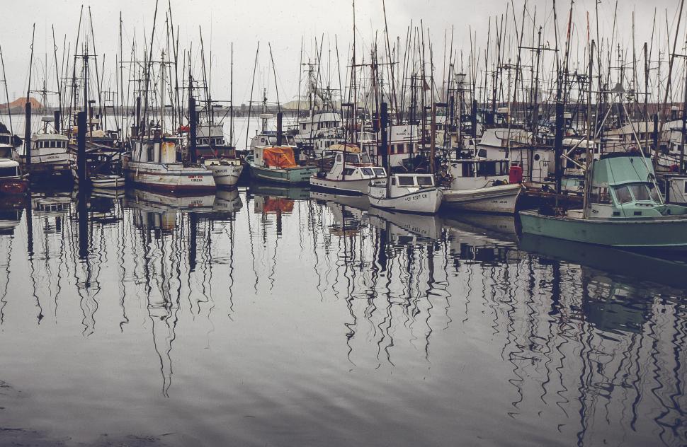 Free Image of Crowded marina 
