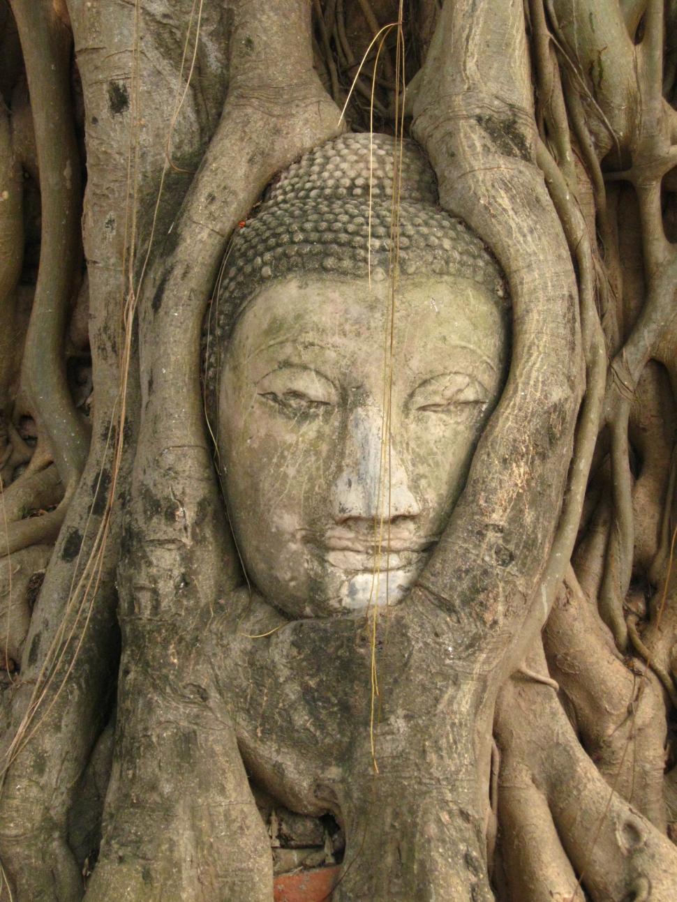 Free Image of thailand 