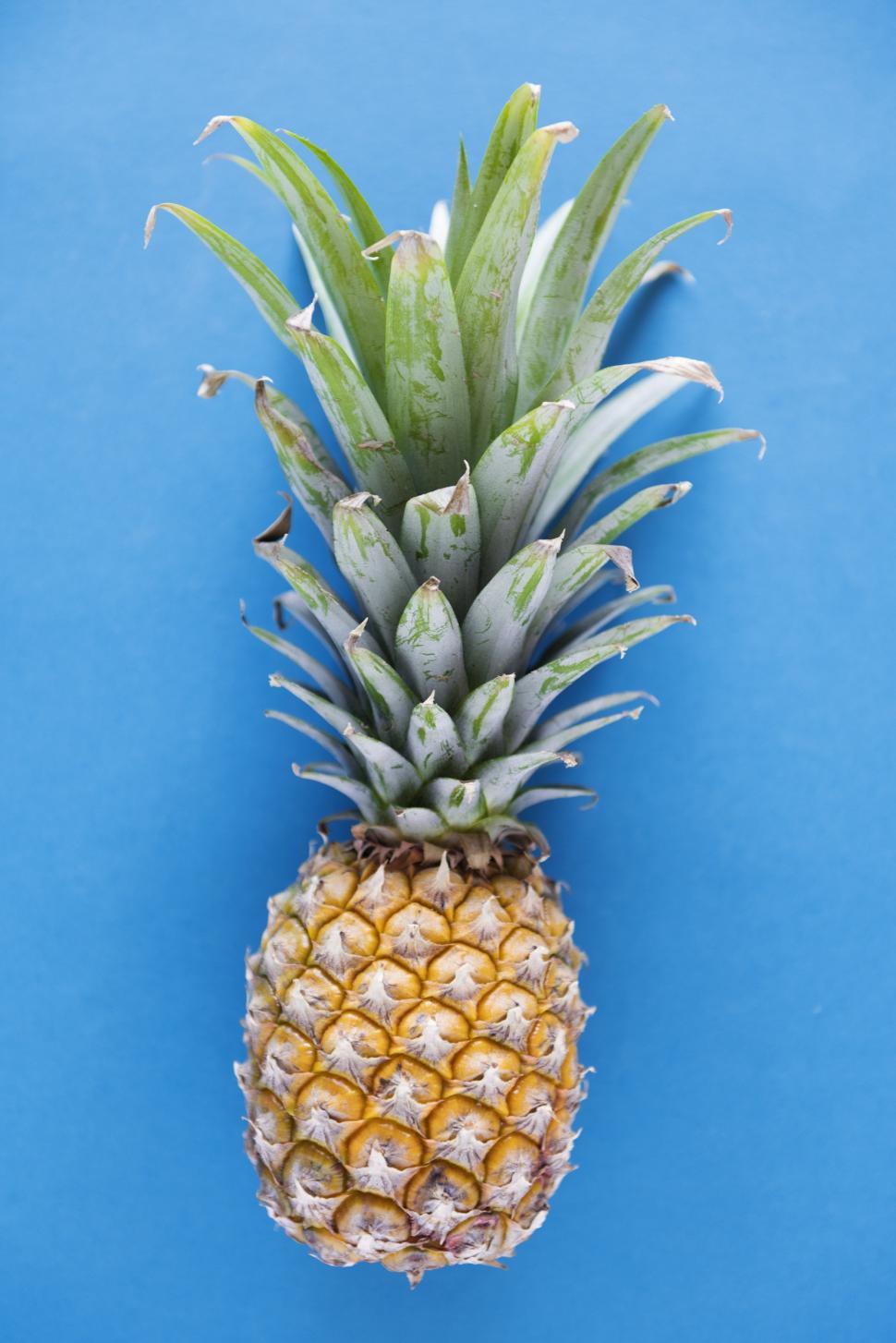 Free Image of A pineapple on blue background 