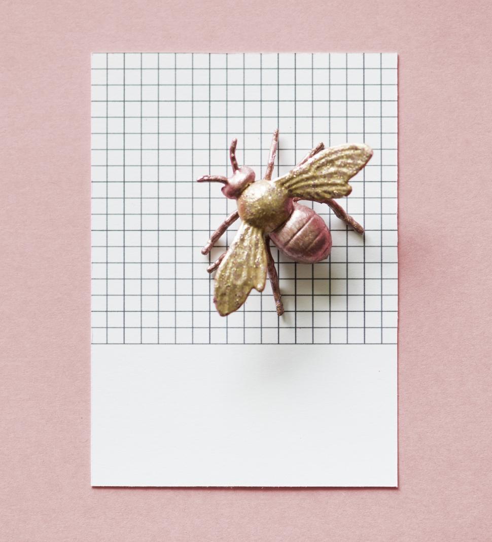 Free Image of Flat lay of a toy fly on a paper with black grid lines 