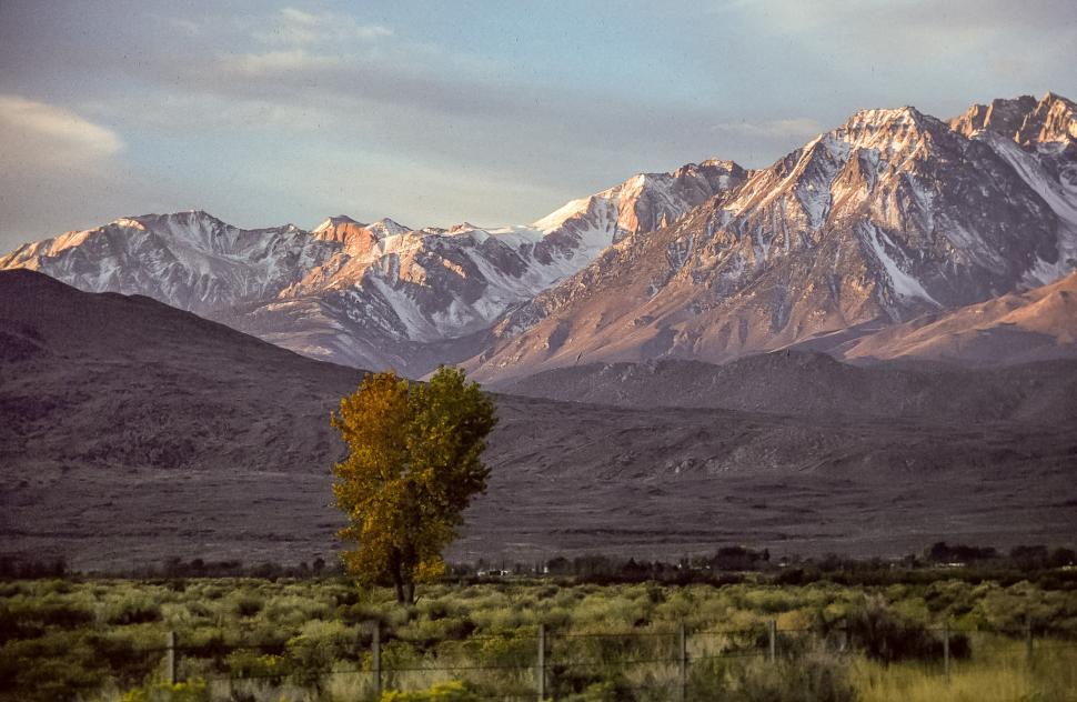 Free Image of Denali National Park 