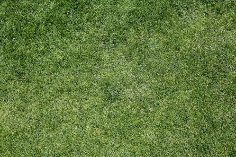 Free Image of Green Grass Texture Full Frame 