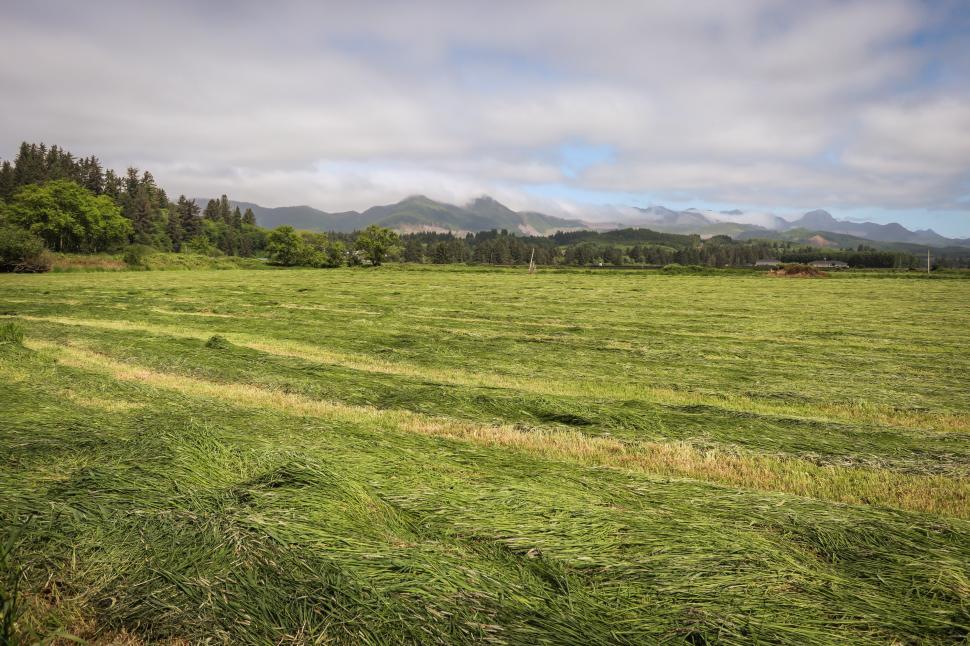 Free Image of Grassy field with distant farmhouse 
