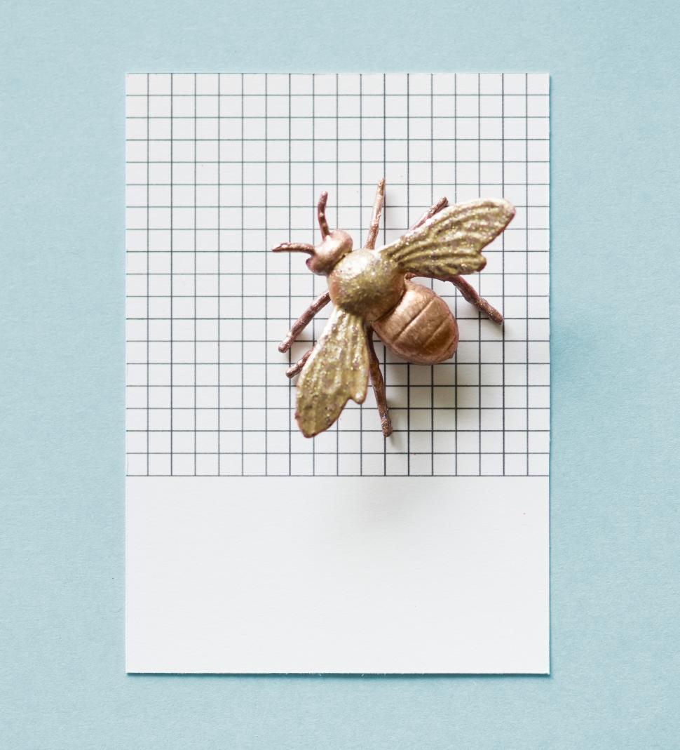 Free Image of Flay lay of a miniature glittery toy fly on a spaced cardboard frame 