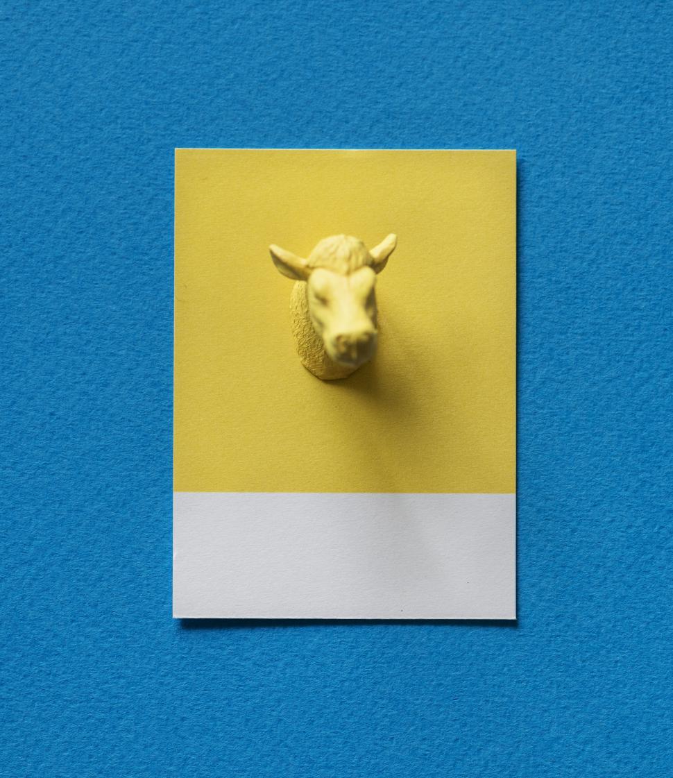 Free Image of Flay lay of a miniature toy bull s head on a spaced cardboard frame 