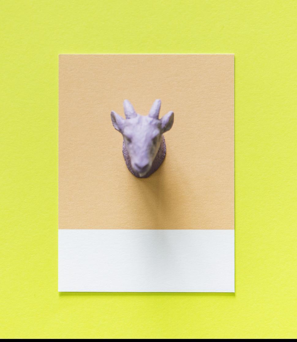 Free Image of Flay lay of a miniature toy goat s head on a spaced cardboard frame 