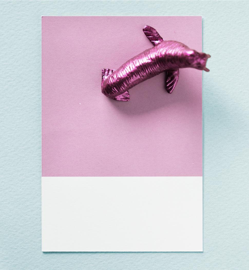 Free Image of Flay lay of a miniature toy seal on a spaced cardboard frame 