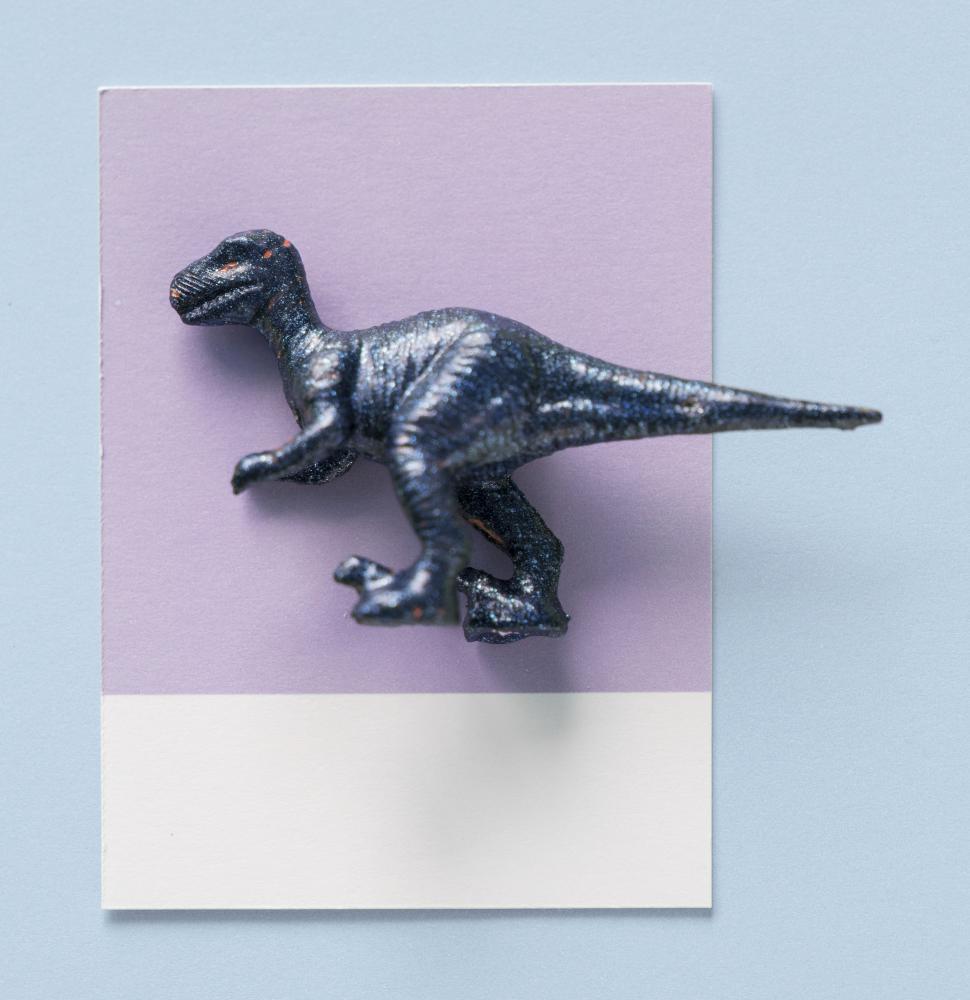 Free Image of Flay lay of a miniature glittery toy dinosaur on a spaced cardboard frame 