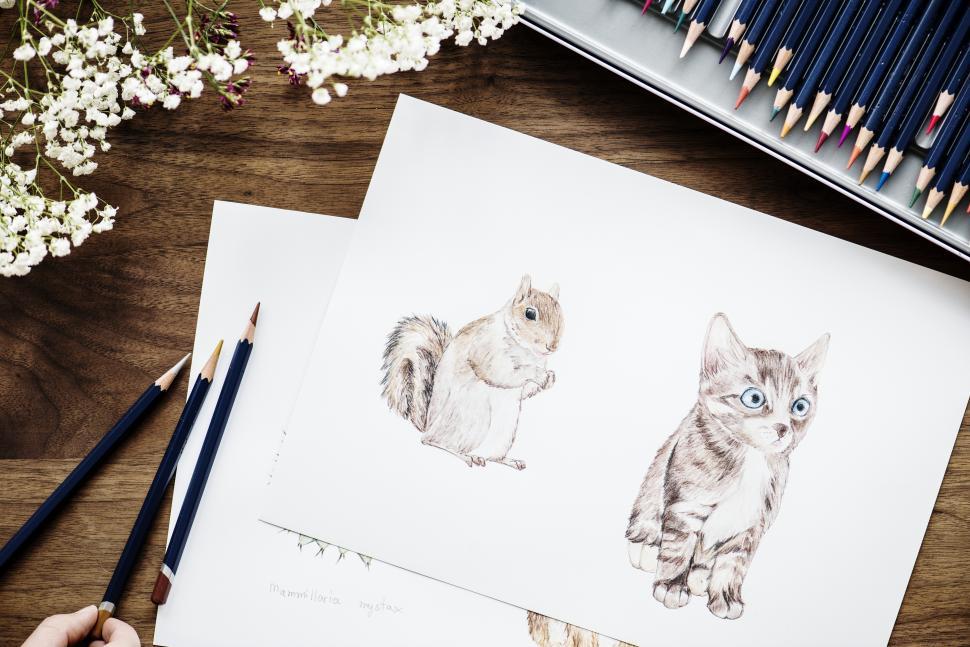 Free Image of A sketch surrounded with color pencils 