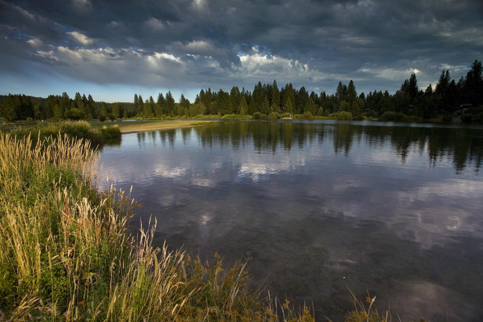 Free Image of marshy shoreline of mountain lake 