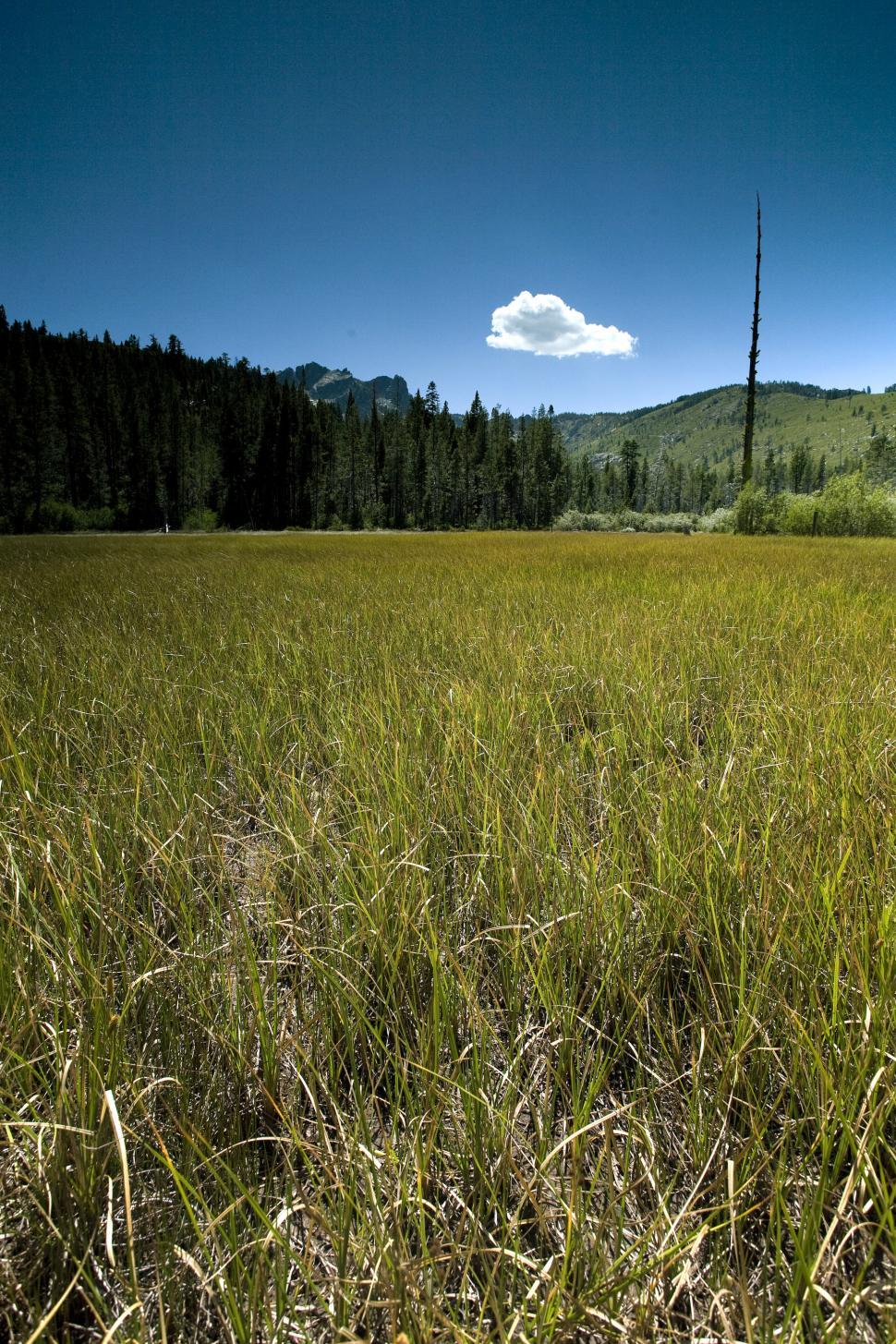 Free Image of open marshlands in lakebed 