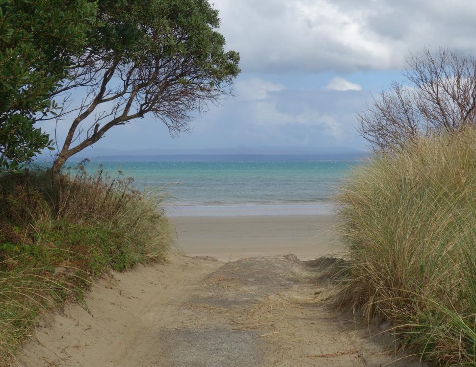 Free Image of Pathway to Beautiful Beach  