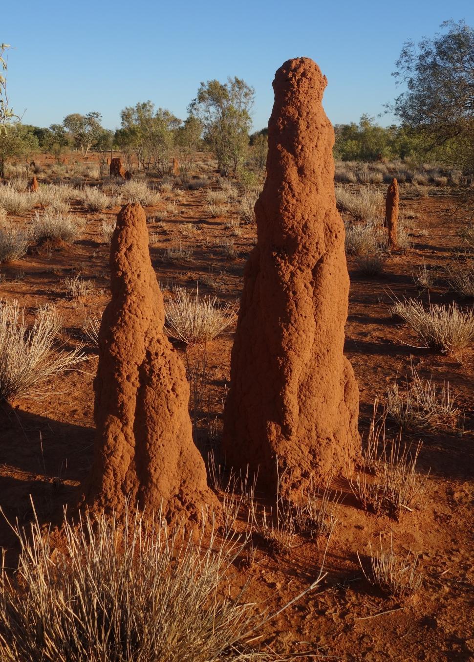 Free Image of Two Anthills  