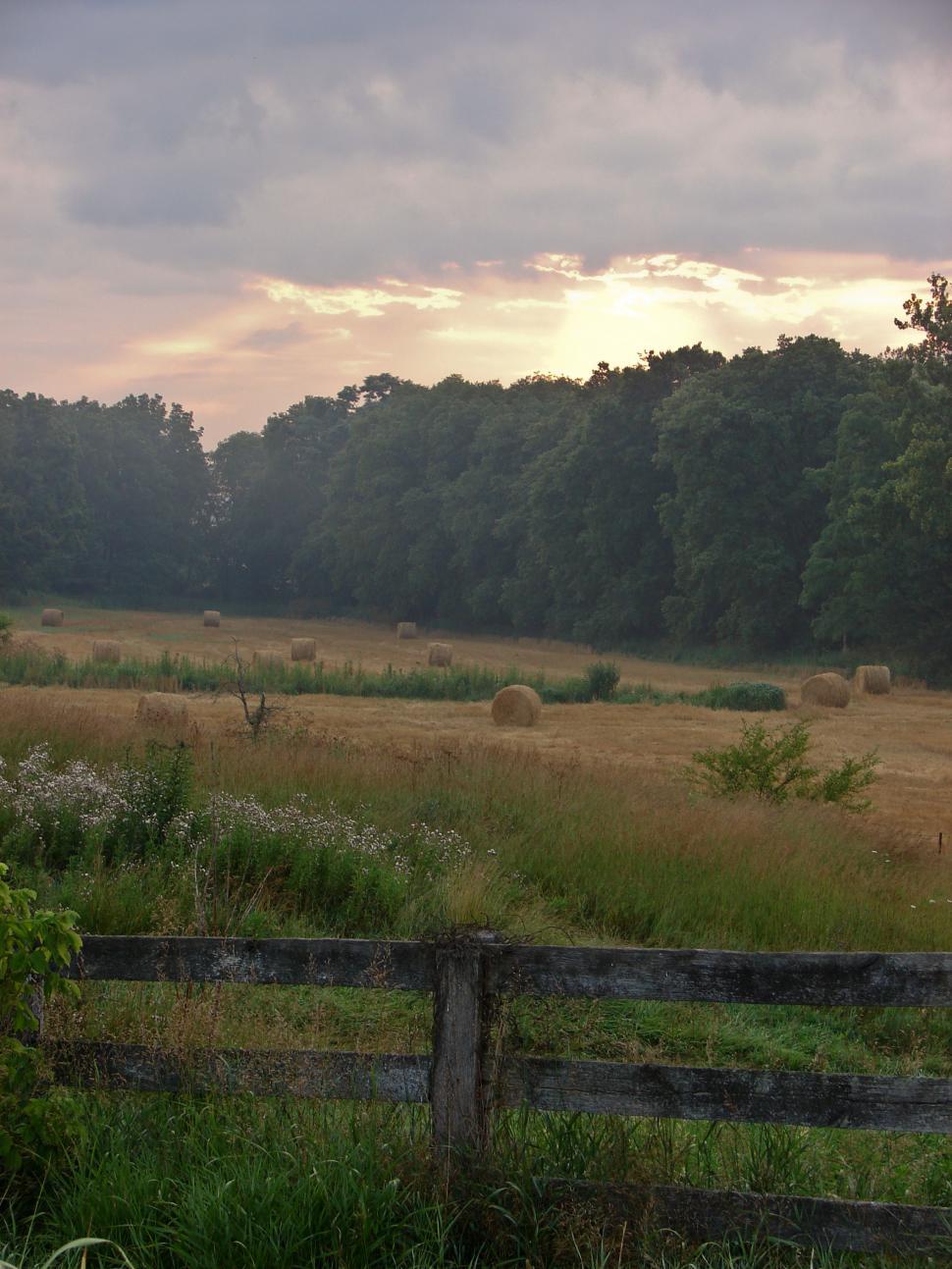 Free Image of Field With Fence and Trees 