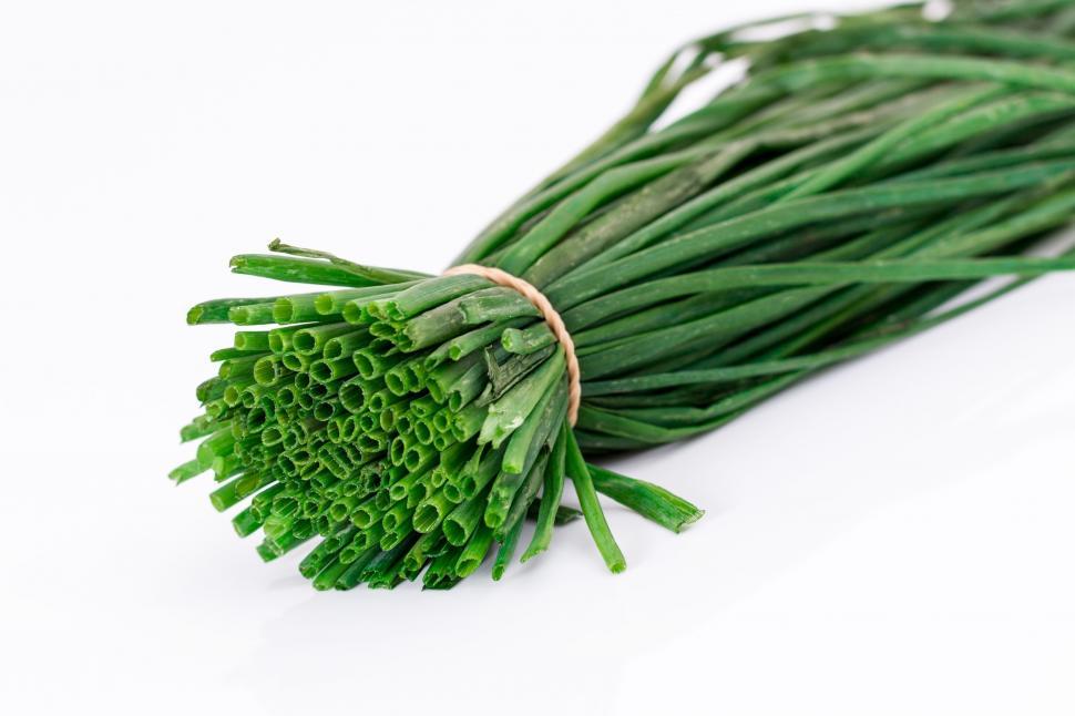 Free Image of Group of Green Grass on White Background 